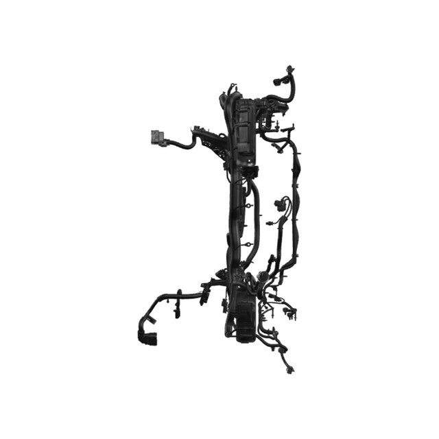 Alternate Image