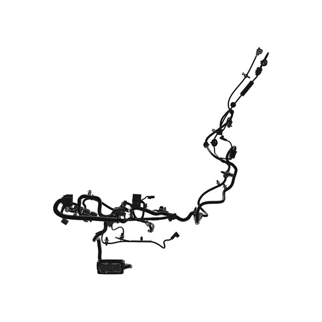 Alternate Image