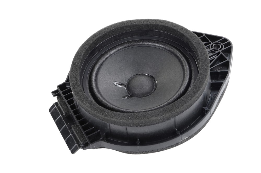 GM Genuine Parts Rear Side Door Speaker