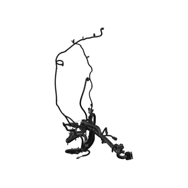 Alternate Image