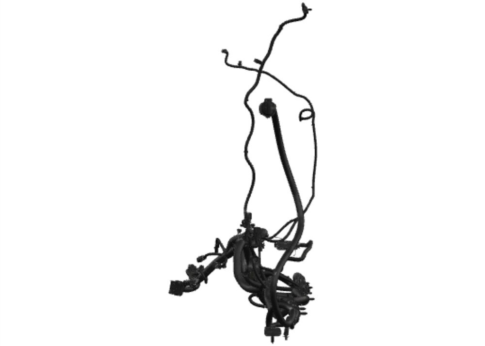 Alternate Image