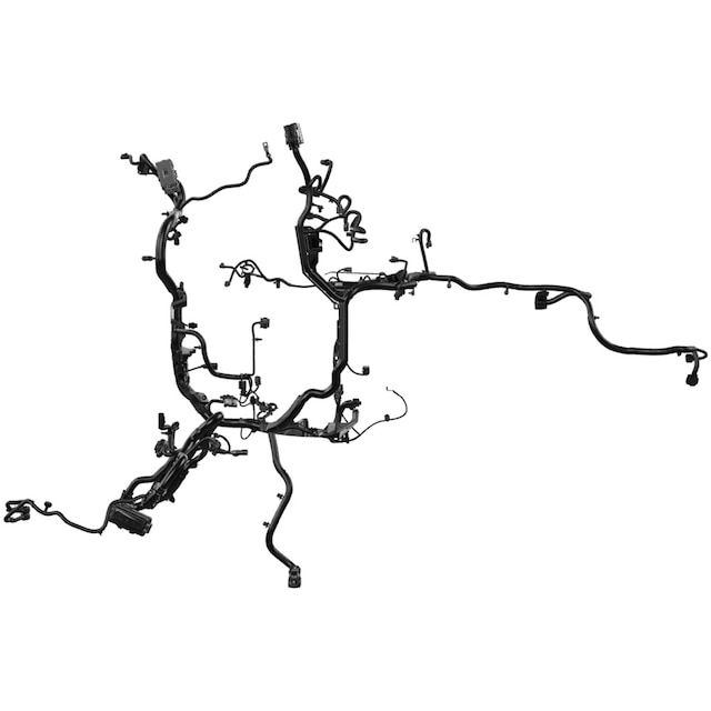 Alternate Image