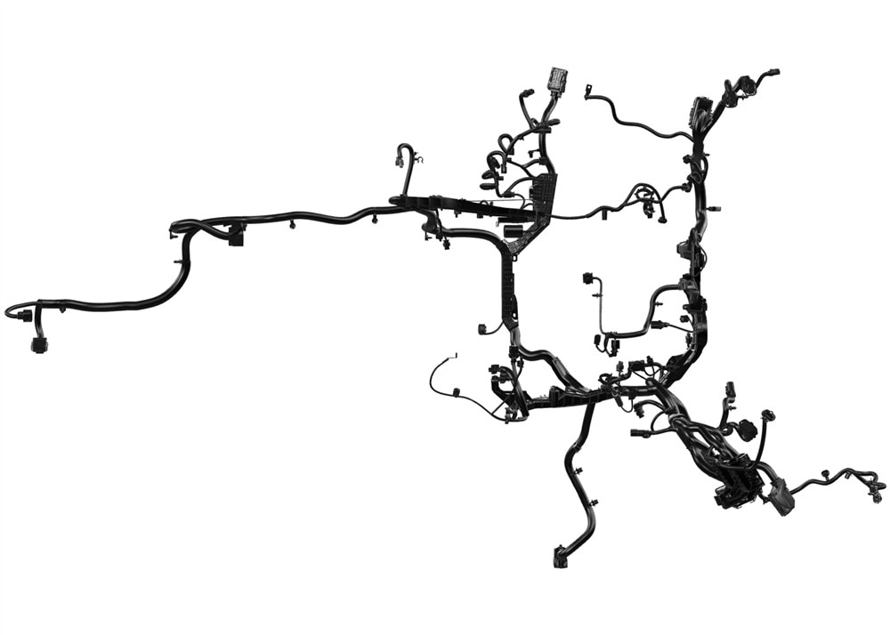 Alternate Image
