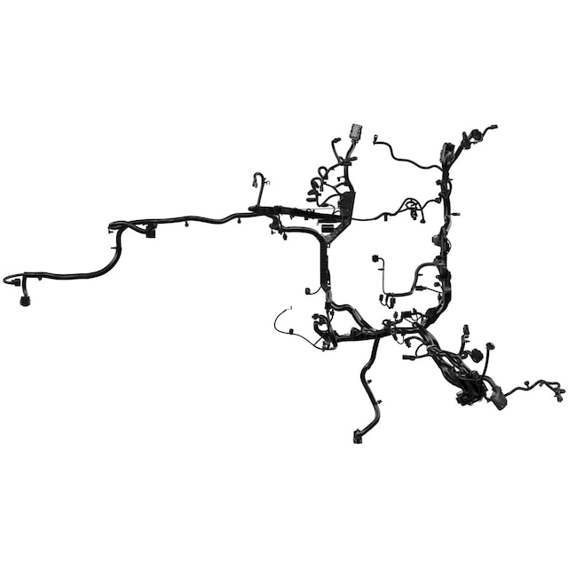 Alternate Image