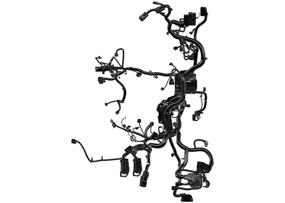 Alternate Image