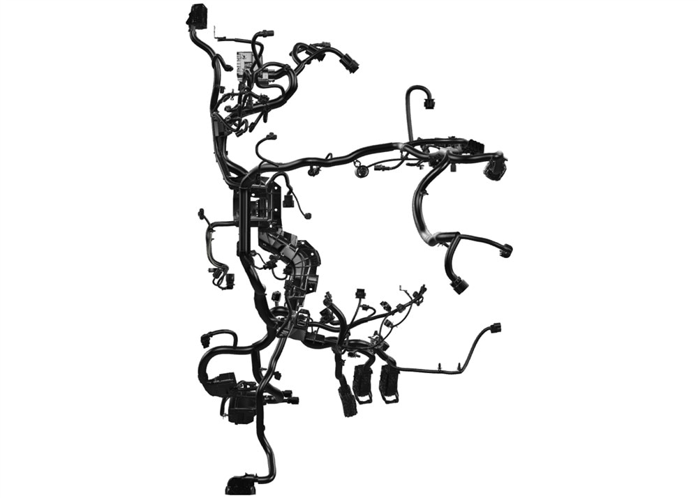 Alternate Image