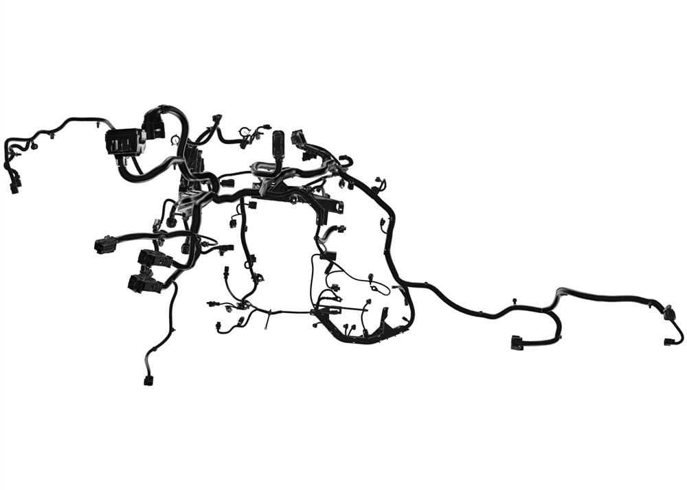 Alternate Image