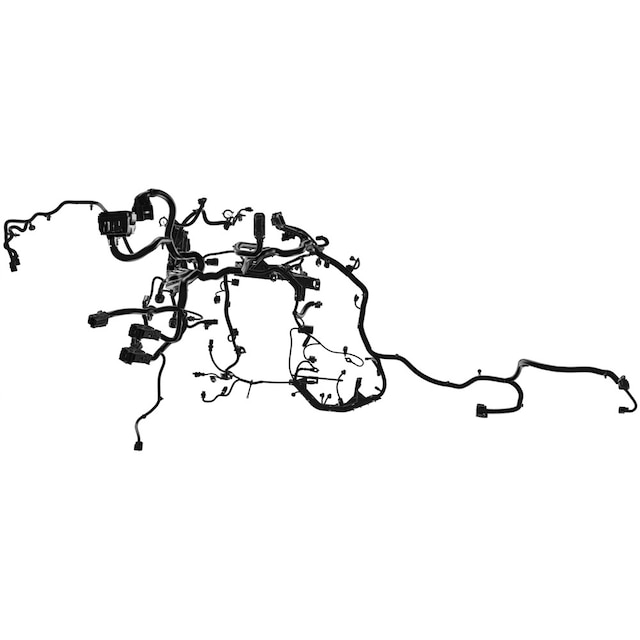Alternate Image