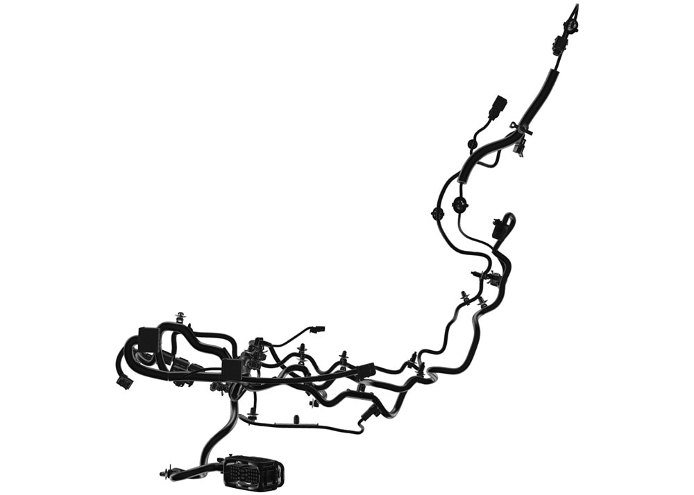 Alternate Image