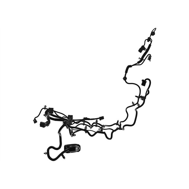 Alternate Image