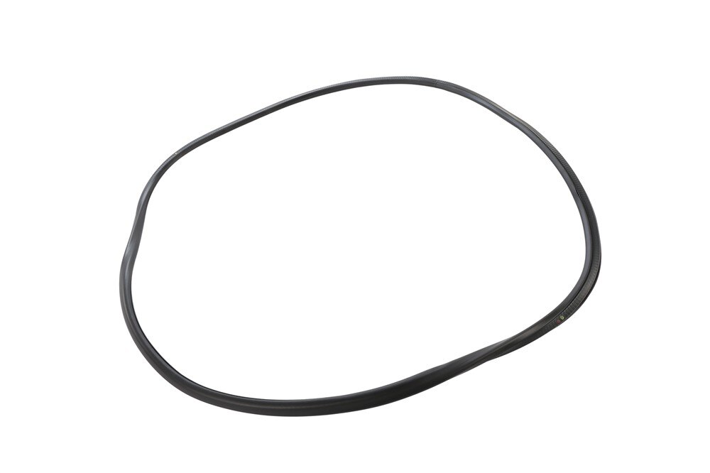 GM Genuine Parts Rear Body Side Door Weatherstrip