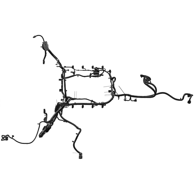 Alternate Image