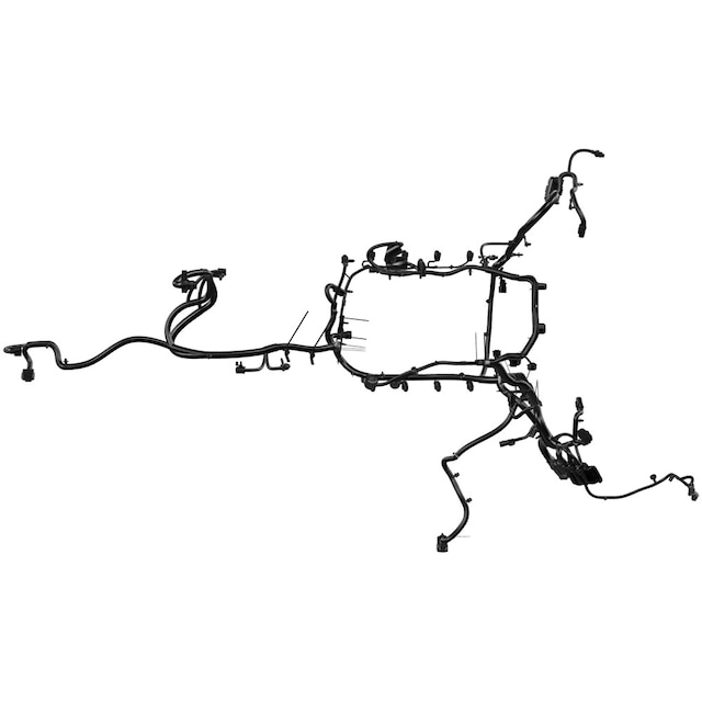 Alternate Image