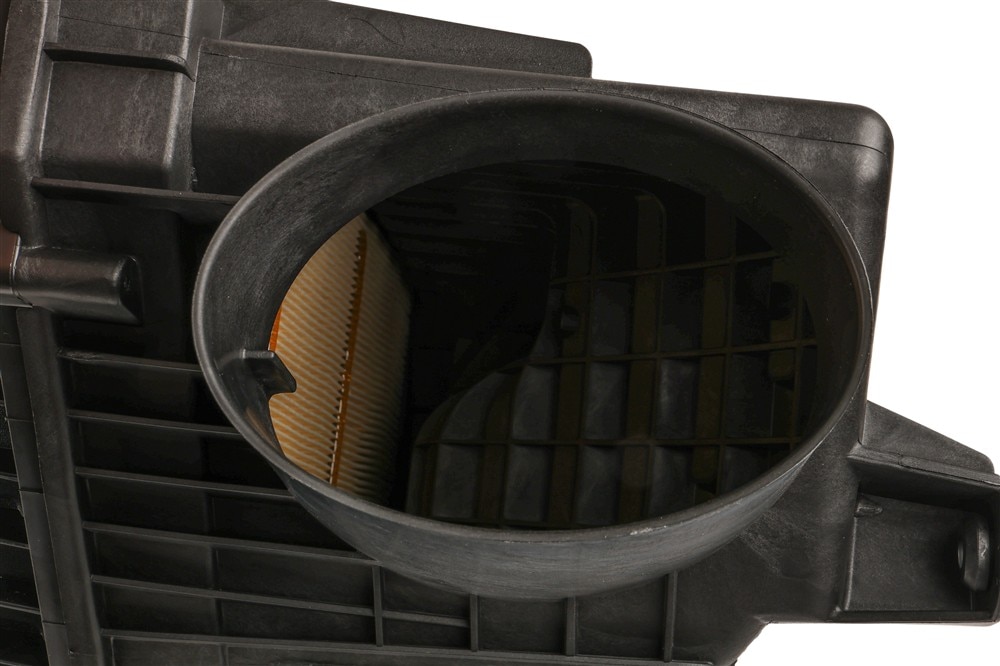 Alternate Image