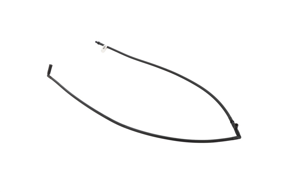 Alternate Image