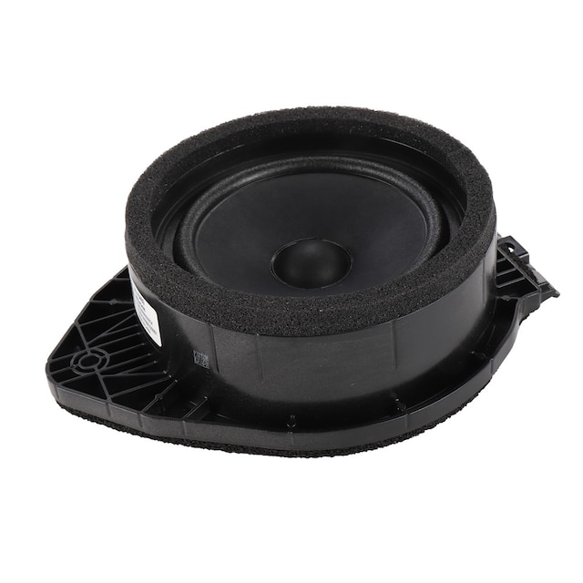 GM Genuine Parts Radio Rear Side Door Speaker