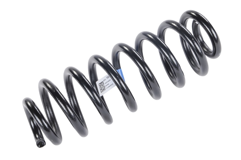 GM Genuine Parts Rear Coil Spring