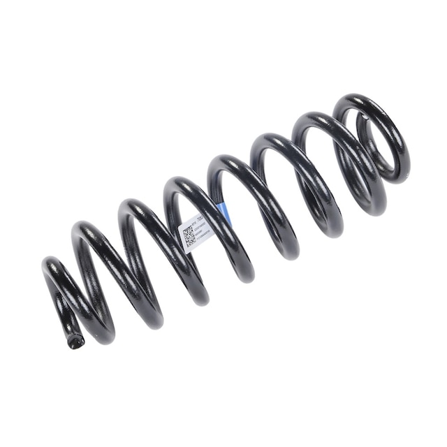 GM Genuine Parts Rear Coil Spring