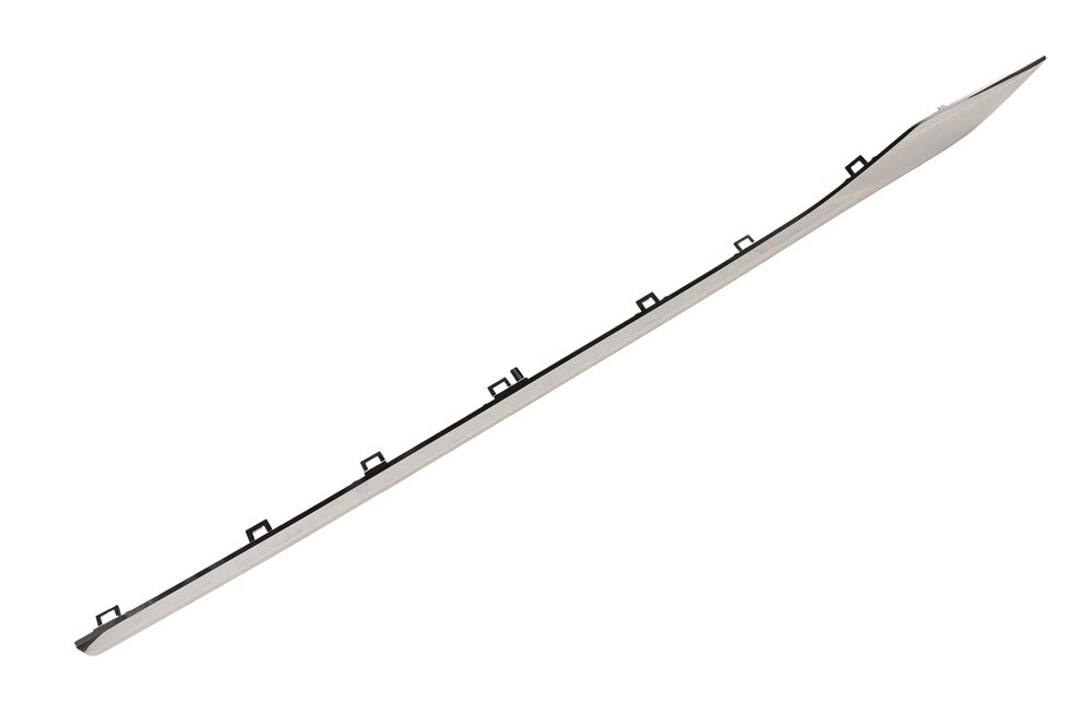 GM Genuine Parts Black Front Passenger Side Door Molding Insert