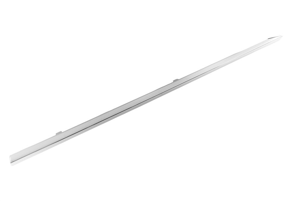 GM Genuine Parts Galvano Silver Rear Driver Side Door Molding Insert