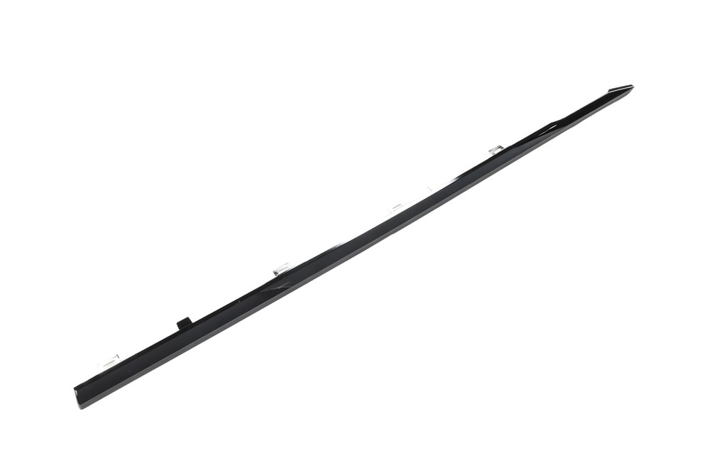 GM Genuine Parts Black Rear Driver Side Door Molding Insert