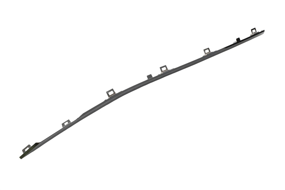 GM Genuine Parts Black Rear Passenger Side Door Molding Insert