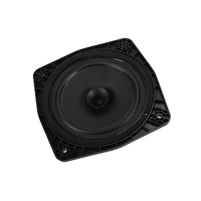 GM Genuine Parts Radio Front Side Door Speaker