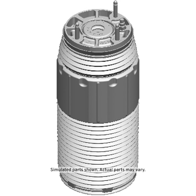 GM Genuine Parts Rear Air Spring