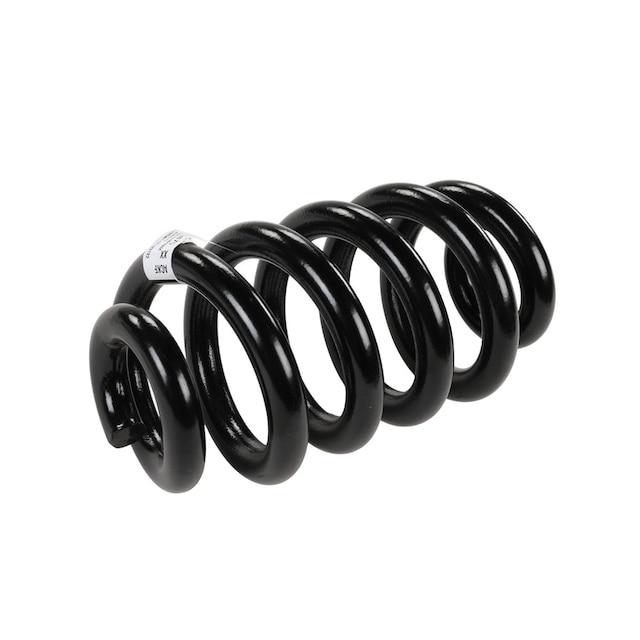 GM Genuine Parts Rear Coil Spring