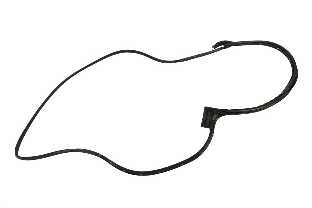 GM Genuine Parts Front Passenger Side Door Weatherstrip