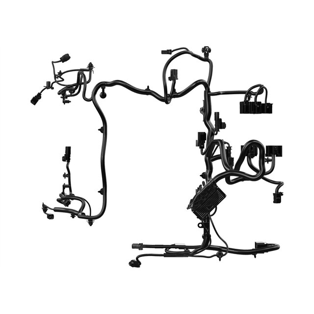 Alternate Image