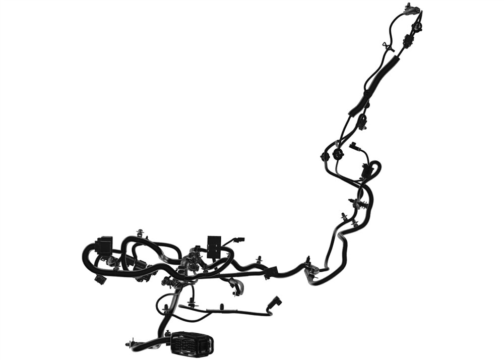 Alternate Image