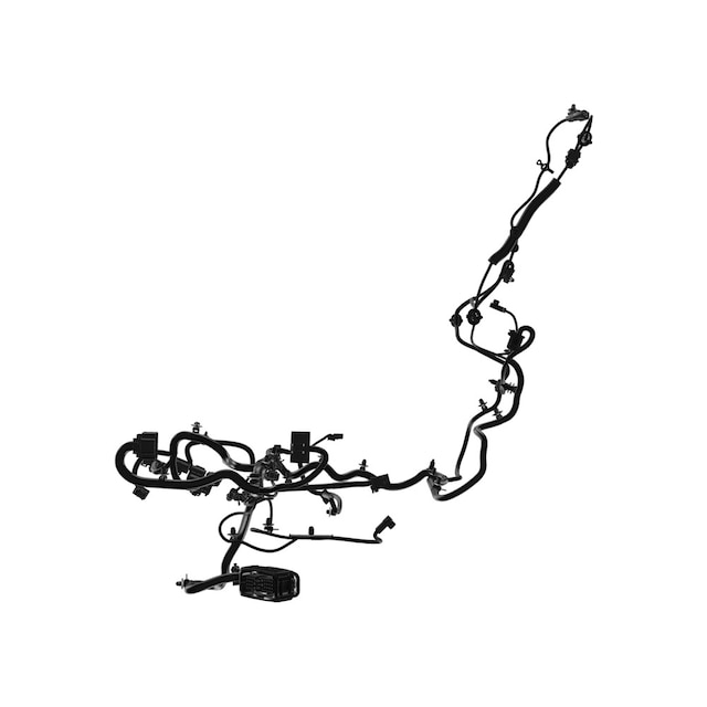 Alternate Image