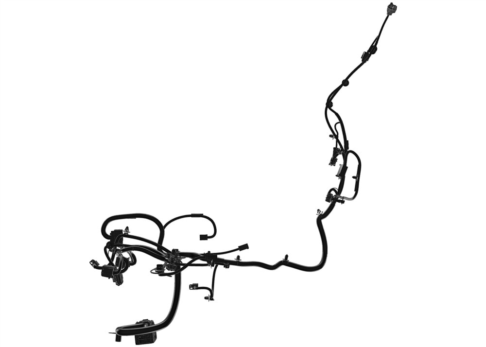 Alternate Image