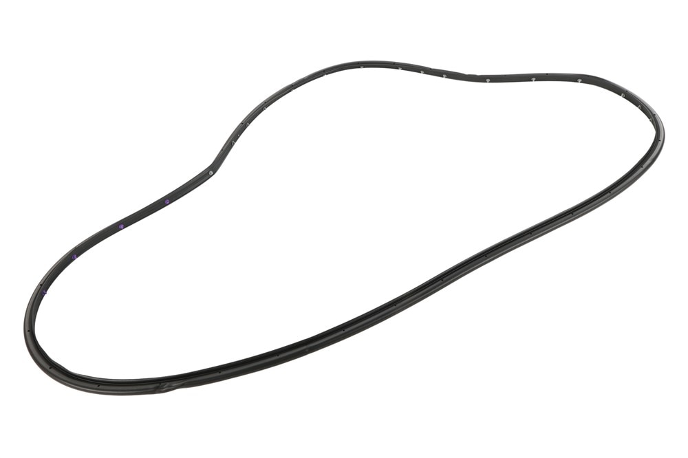 GM Genuine Parts Door Side Rear Driver Side Door Weatherstrip