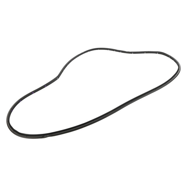 GM Genuine Parts Door Side Rear Driver Side Door Weatherstrip