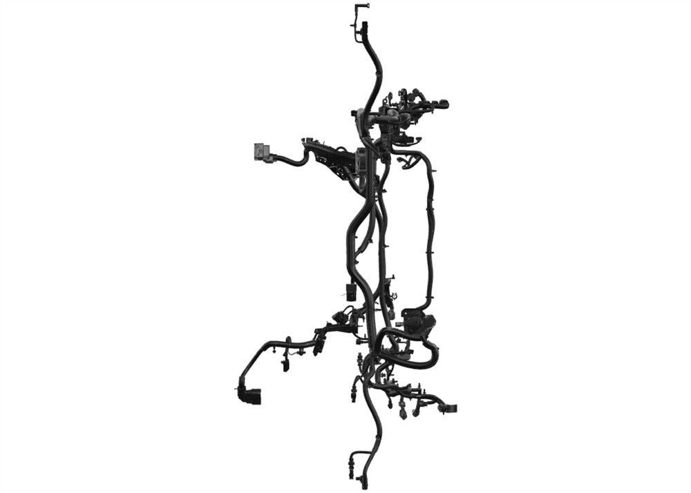 Alternate Image