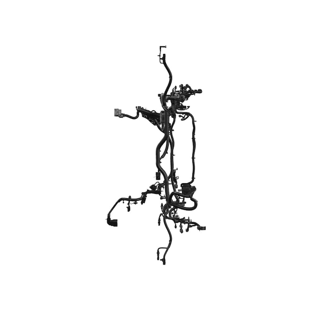 Alternate Image