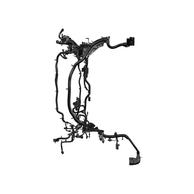 Alternate Image