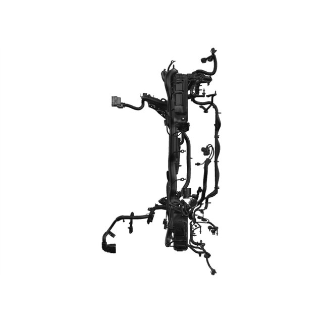 Alternate Image