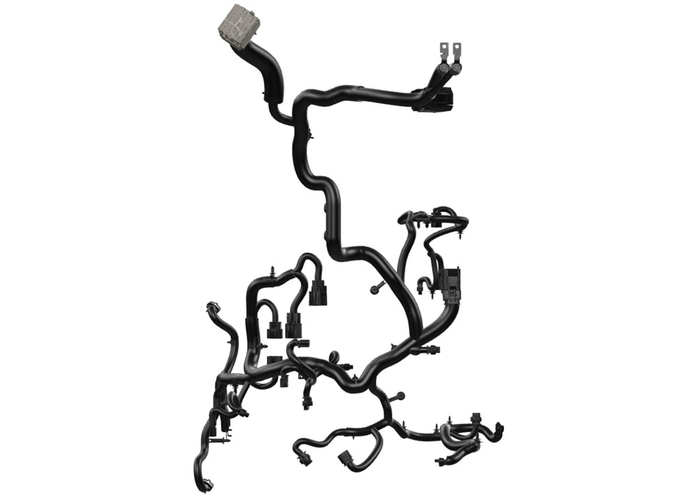 Alternate Image