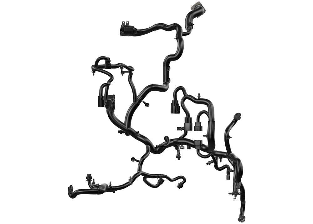Alternate Image