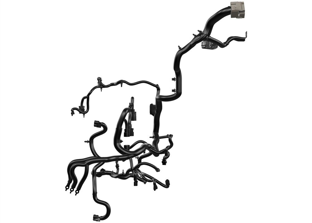 Alternate Image