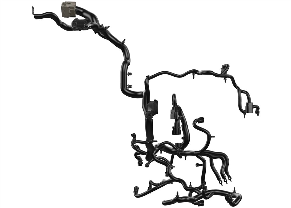 Alternate Image