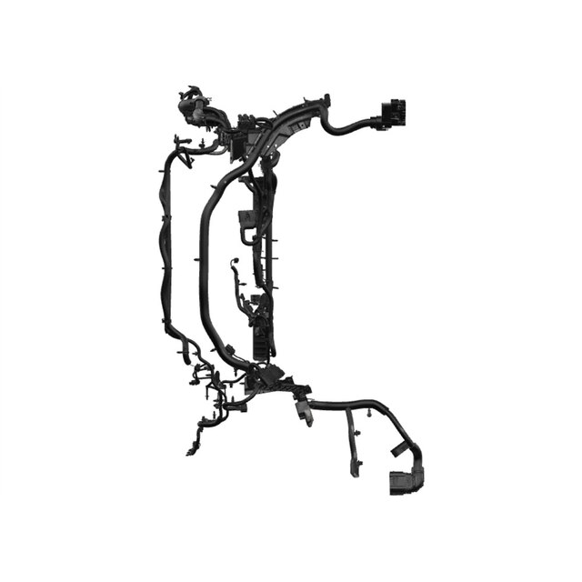 Alternate Image