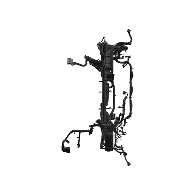 Alternate Image