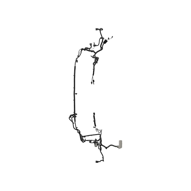 Alternate Image