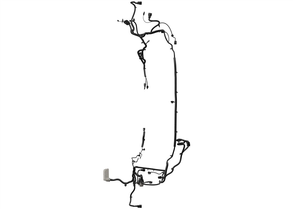 Alternate Image