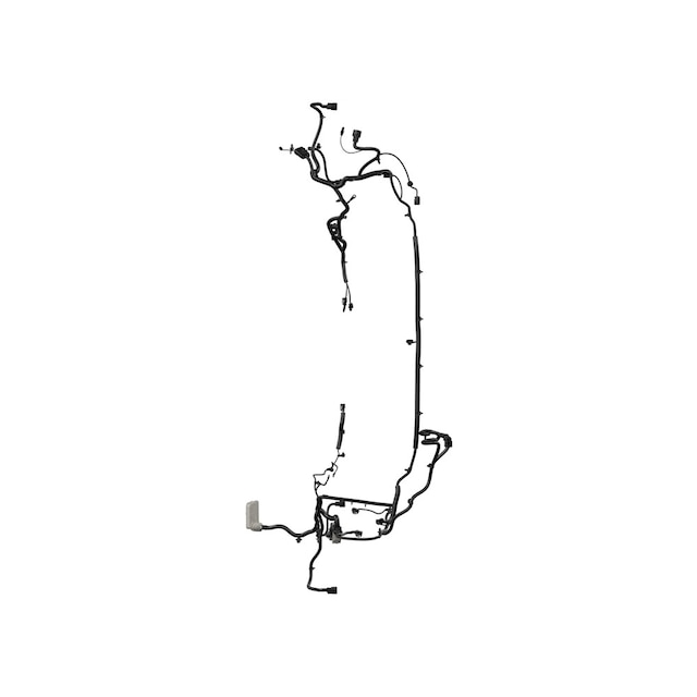 Alternate Image