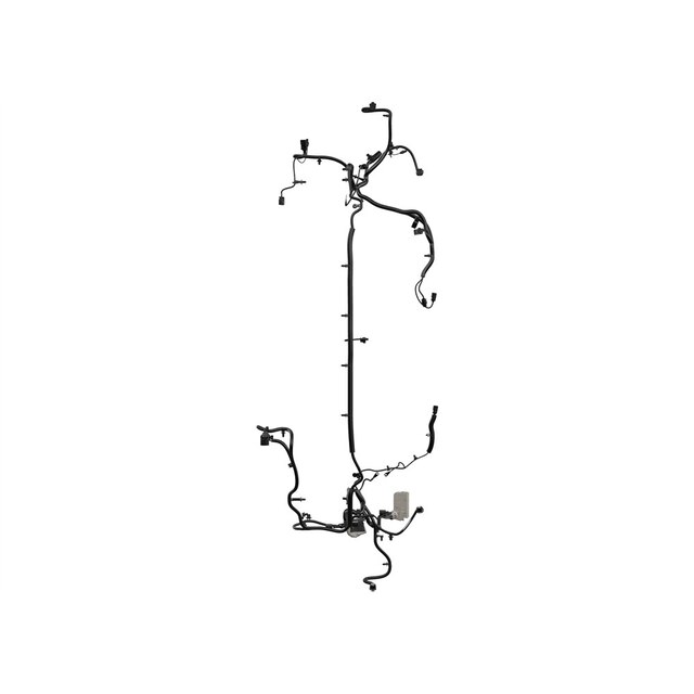 Alternate Image